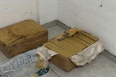 IMG-20251113-WA0244