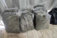 IMG-20251222-WA0427