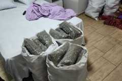 IMG-20251222-WA0429