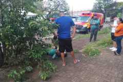 IMG-20241019-WA0161