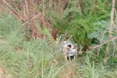 IMG-20250424-WA0175