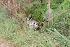 IMG-20250424-WA0180