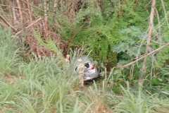 IMG-20250424-WA0181