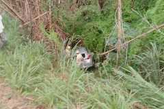 IMG-20250424-WA0183
