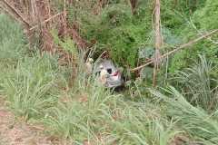 IMG-20250424-WA0184