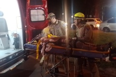 IMG_20250902_210830_1