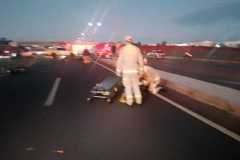 IMG-20250406-WA0317