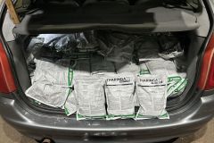 IMG-20240307-WA0140
