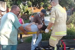 IMG_20251010_164528_1