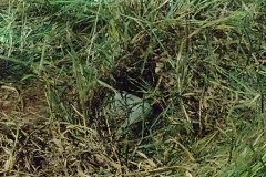 IMG_20250822_194244