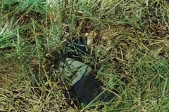 IMG_20250822_195443