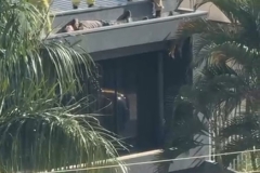 Screenshot_2026-03-24-18-09-27-564_com.whatsapp