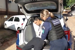 Screenshot_2026-03-25-00-19-34-628_com.whatsapp