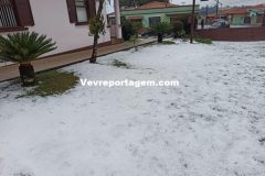 granizo-campo-largo-danos-799x600