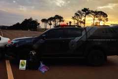 a75e054c-5bcd-4658-b6a5-c4ed043b270c