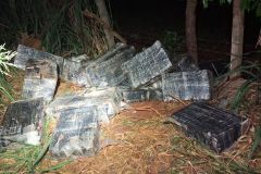 IMG-20250522-WA0068