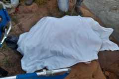 IMG-20250102-WA0183