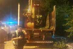 IMG-20250408-WA0050