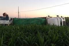 IMG_20240418_182309