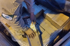IMG_20260325_185250