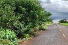 IMG-20240215-WA0184