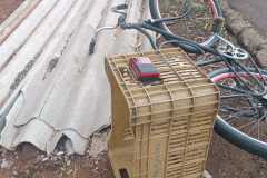 IMG-20240316-WA0101