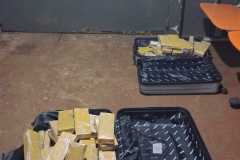 IMG-20260601-WA0190