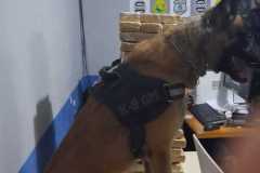 IMG-20260601-WA0194