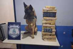 IMG-20260601-WA0197