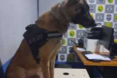 IMG-20260531-WA0715
