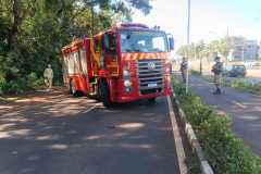 IMG-20240311-WA0327