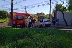 IMG-20260123-WA0229