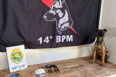 IMG-20250723-WA0191