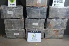 IMG-20260730-WA0012