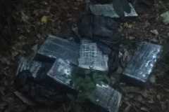 IMG-20260818-WA0211