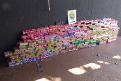 IMG_20250927_105046_MP