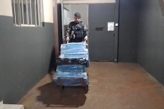 IMG_20250530_175235_1