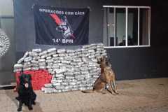 IMG-20250626-WA0034