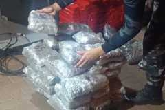 IMG-20250626-WA0040