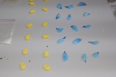 IMG_20250313_131412