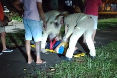 IMG_20250927_193829_MP