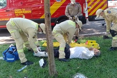 IMG_20250421_123130