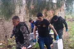 IMG-20260808-WA0200
