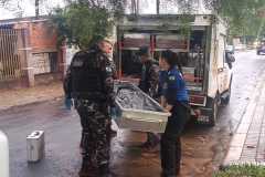 IMG-20260808-WA0201