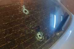 IMG-20251123-WA0010