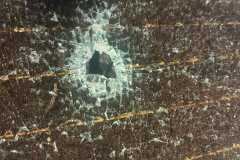 IMG-20251123-WA0012