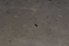 IMG-20251021-WA0062