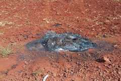 IMG-20240820-WA0111