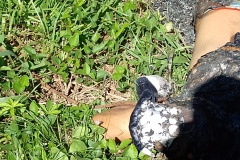 IMG_20240507_122557