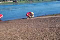 IMG-20260219-WA0023